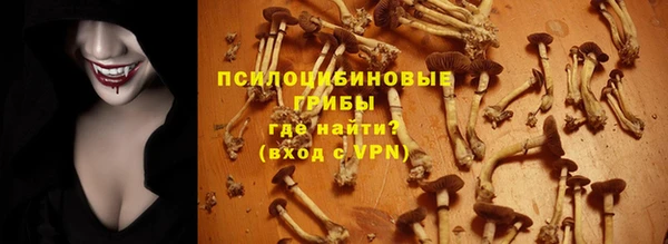 дживик Краснослободск