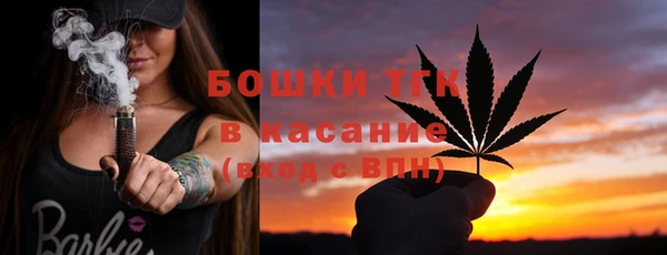 дживик Краснослободск