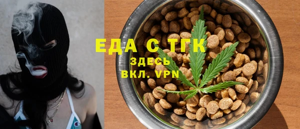 дживик Краснослободск