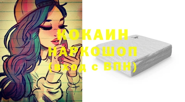 дживик Краснослободск