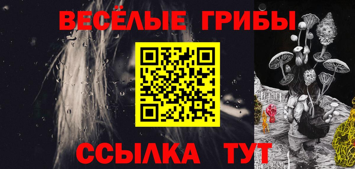 Кохма  Псилоцибиновые грибы Cubensis  Галлюциногенные грибы Cubensis  Вход с VPN 