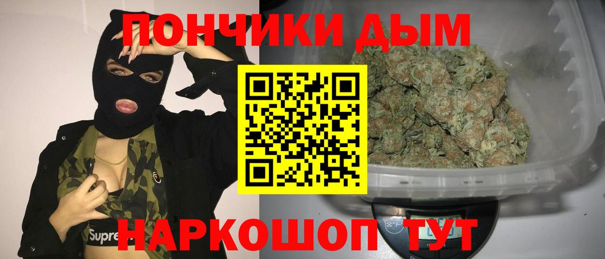 Конопля гибрид Кохма